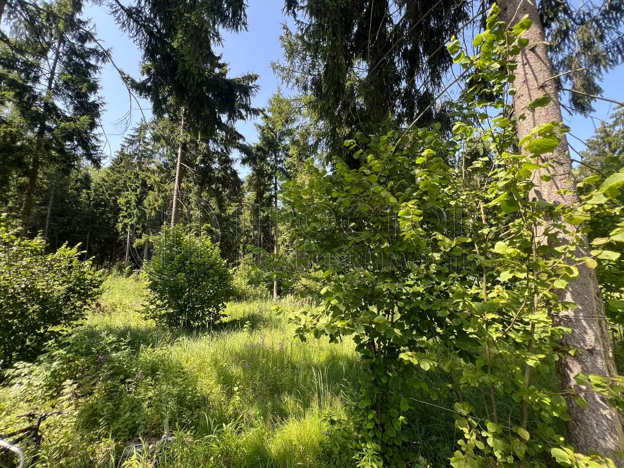 Участок, 12.5 сот. - фото 3