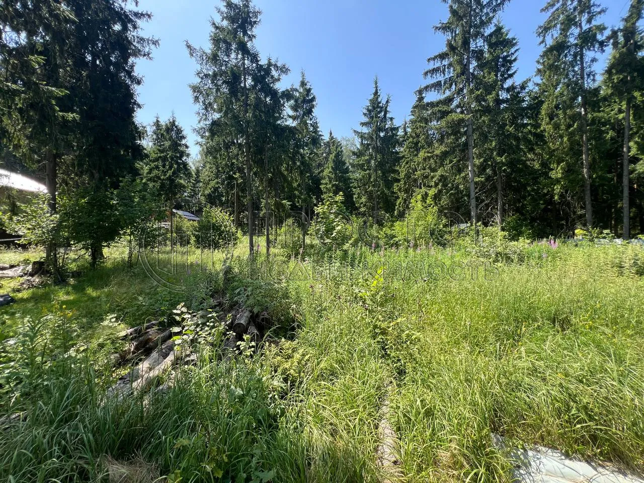 Участок, 12.5 сот. - фото 4