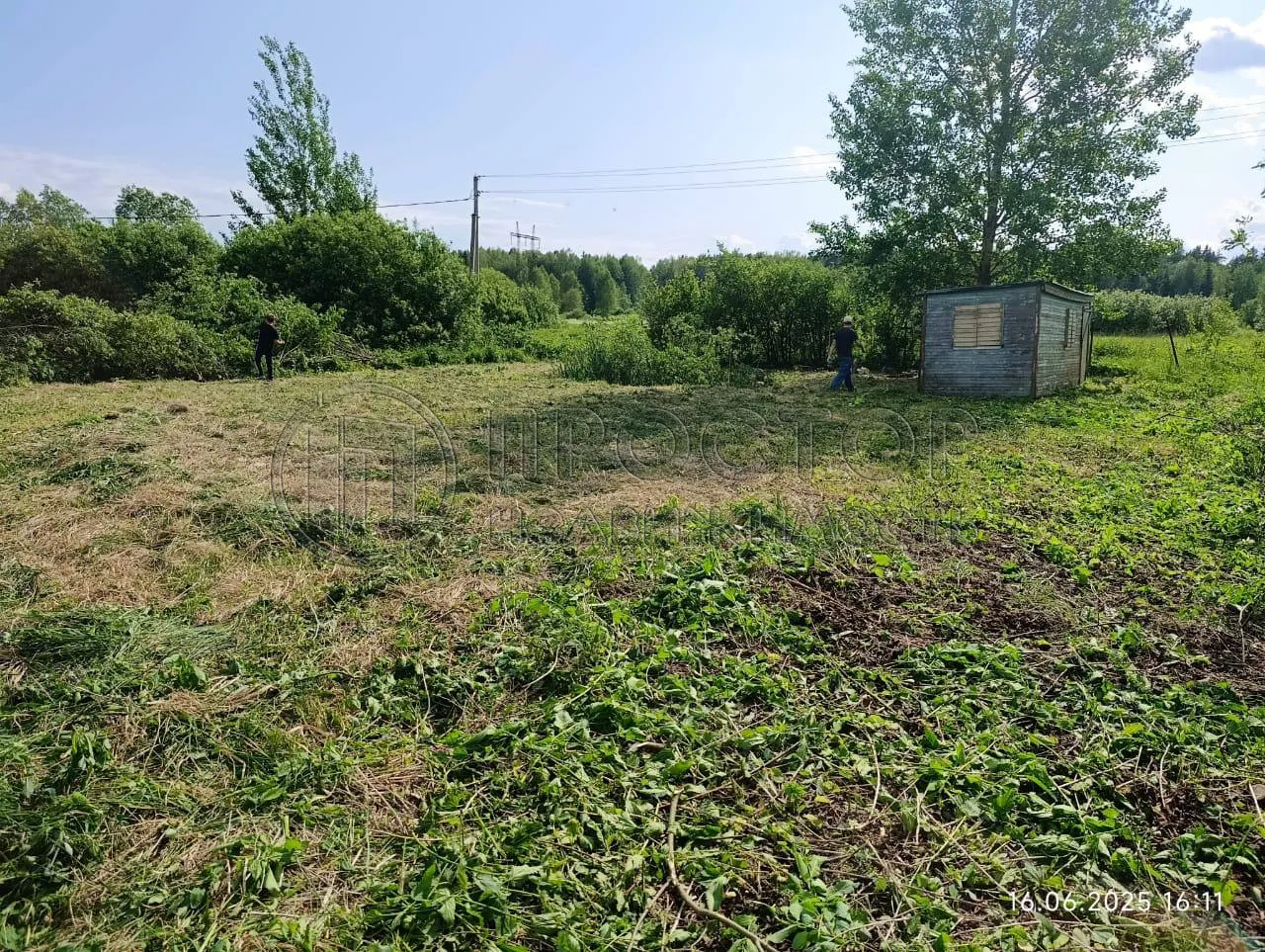 Участок, 6.2 сот. - фото 3