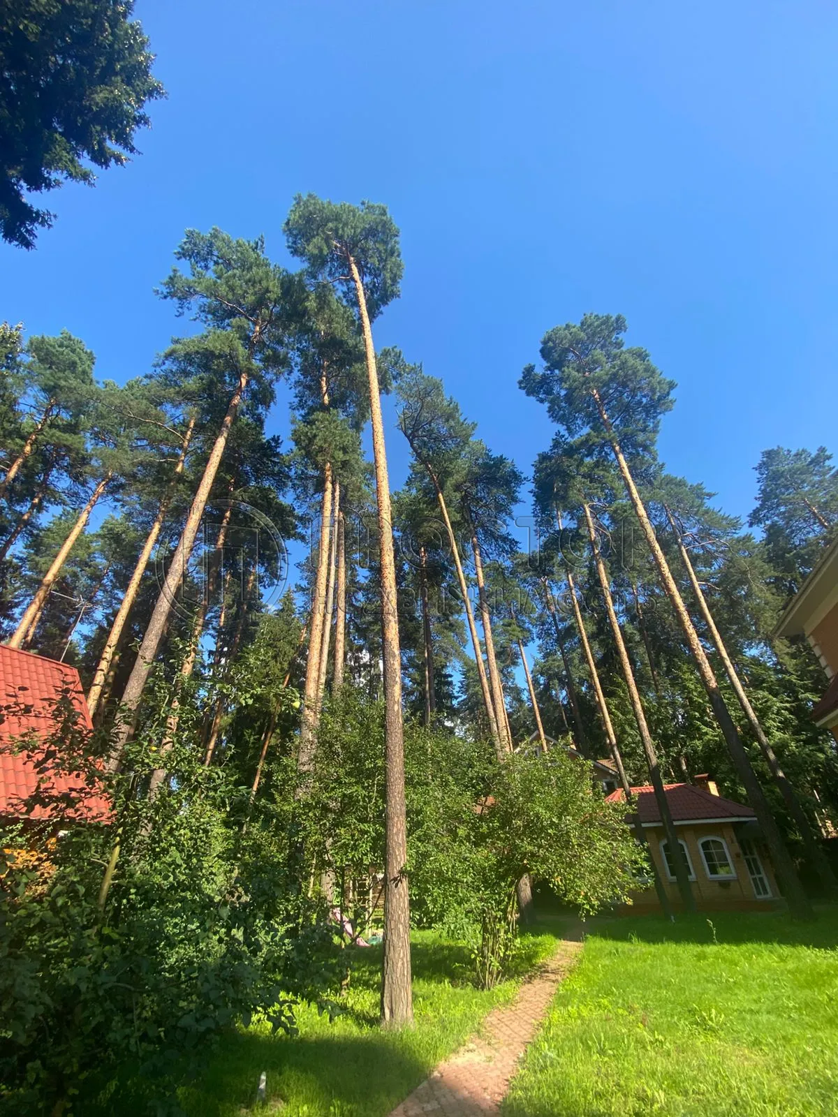 Дом, 415.5 м² - фото 19