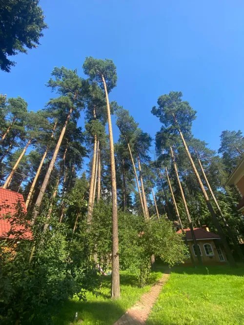 Дом, 415.5 м² - фото 19