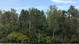 4-комнатная квартира, 109 м² - фото 41