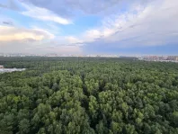 1-комнатная квартира, 48.7 м² - фото 32