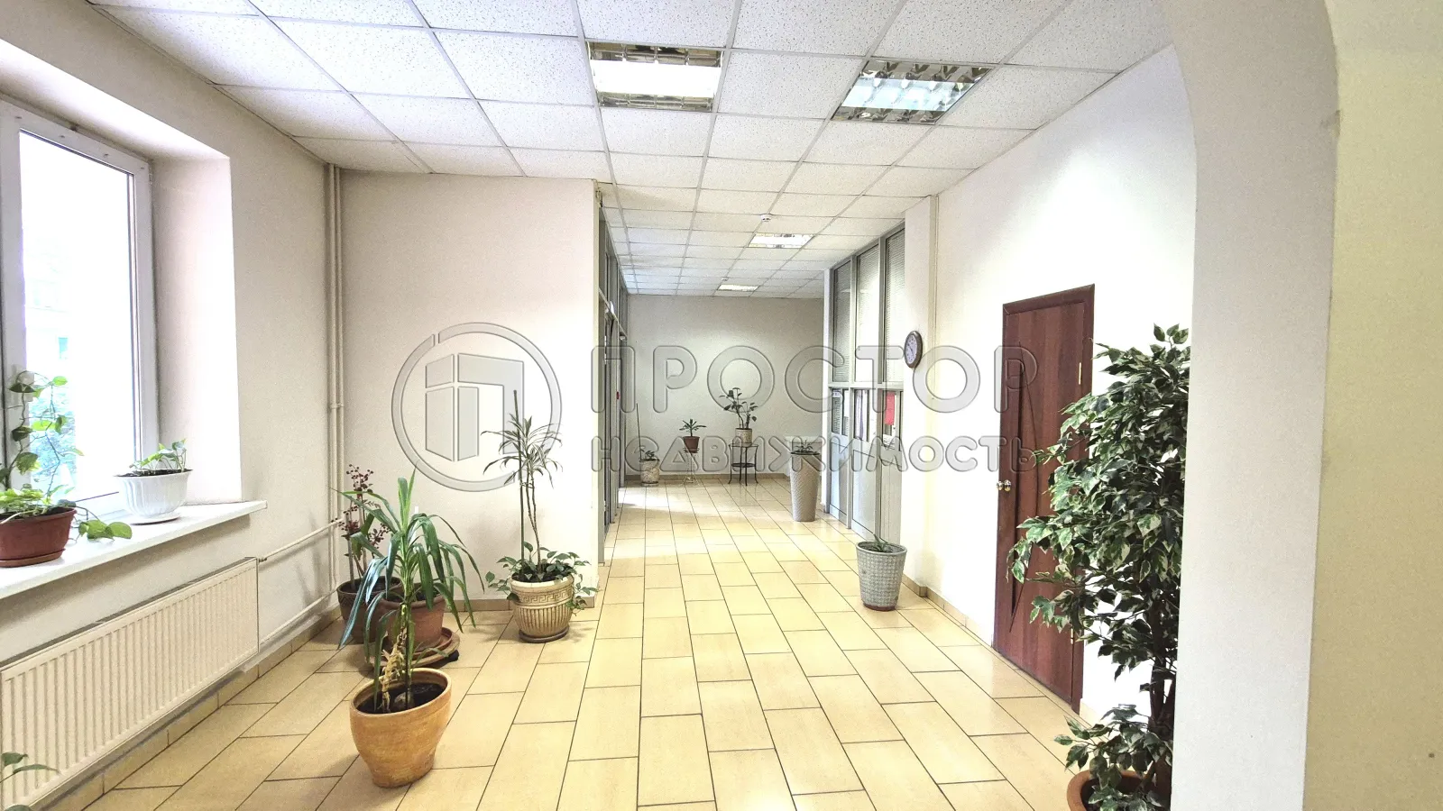 3-комнатная квартира, 146.8 м² - фото 15