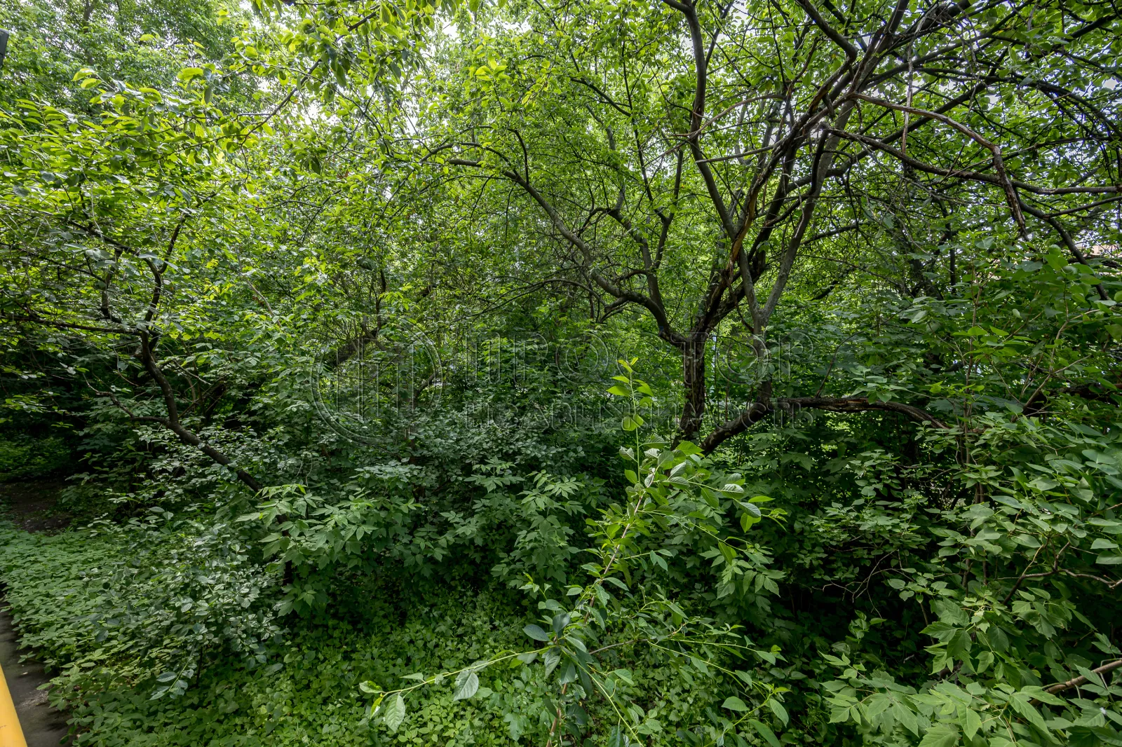 2-комнатная квартира, 42.5 м² - фото 35