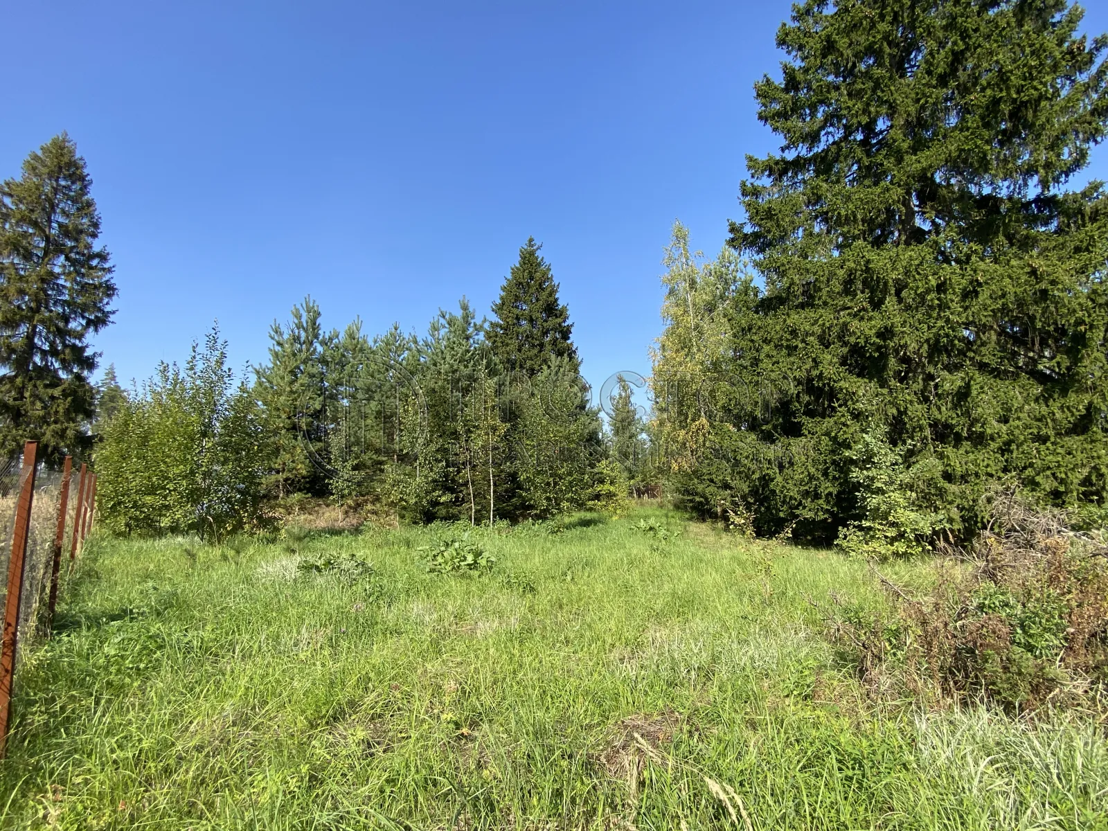 Участок, 15 сот. - фото 9