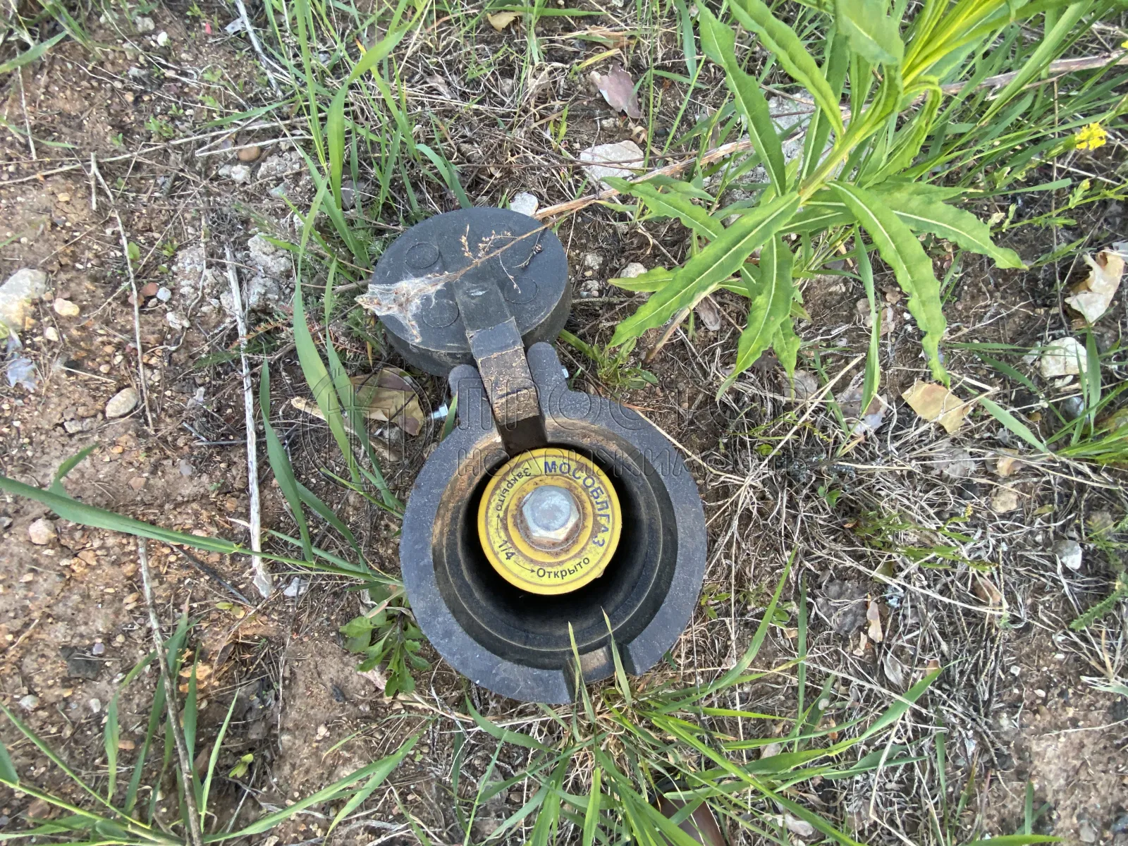 Участок, 15 сот. - фото 13