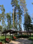 Участок, 15 сот. - фото 52