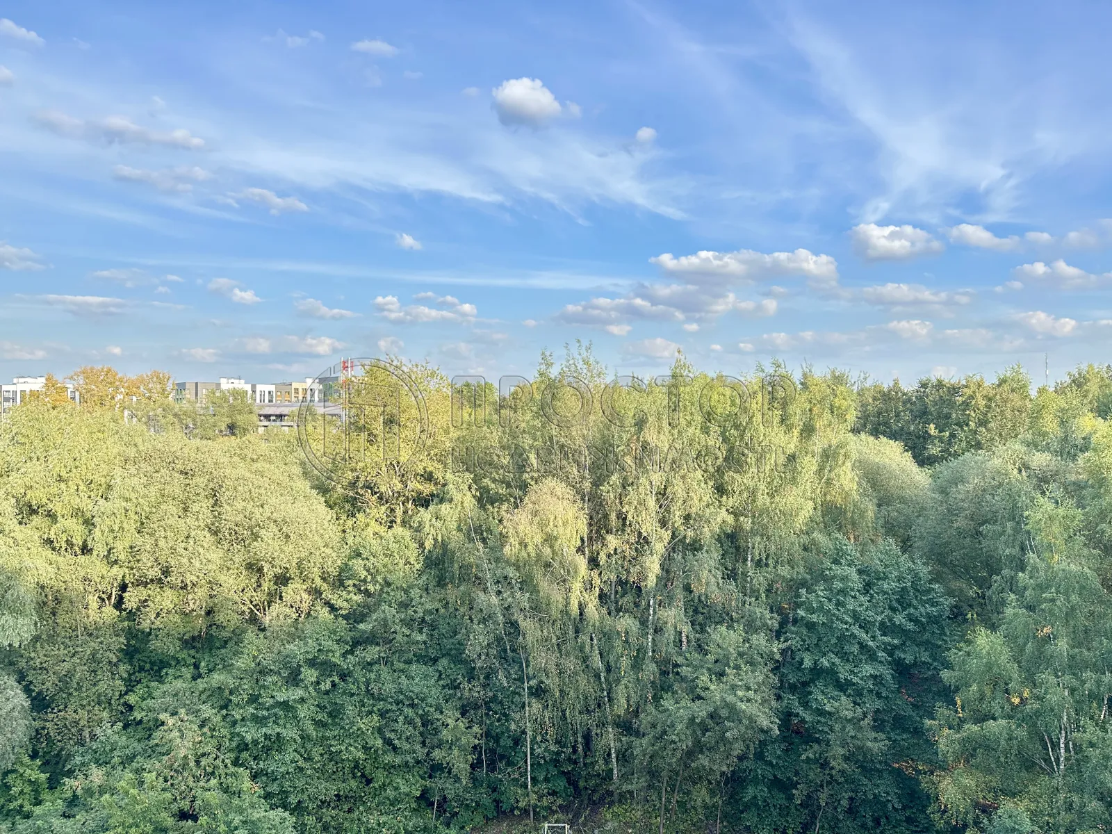 3-комнатная квартира, 58.5 м² - фото 26