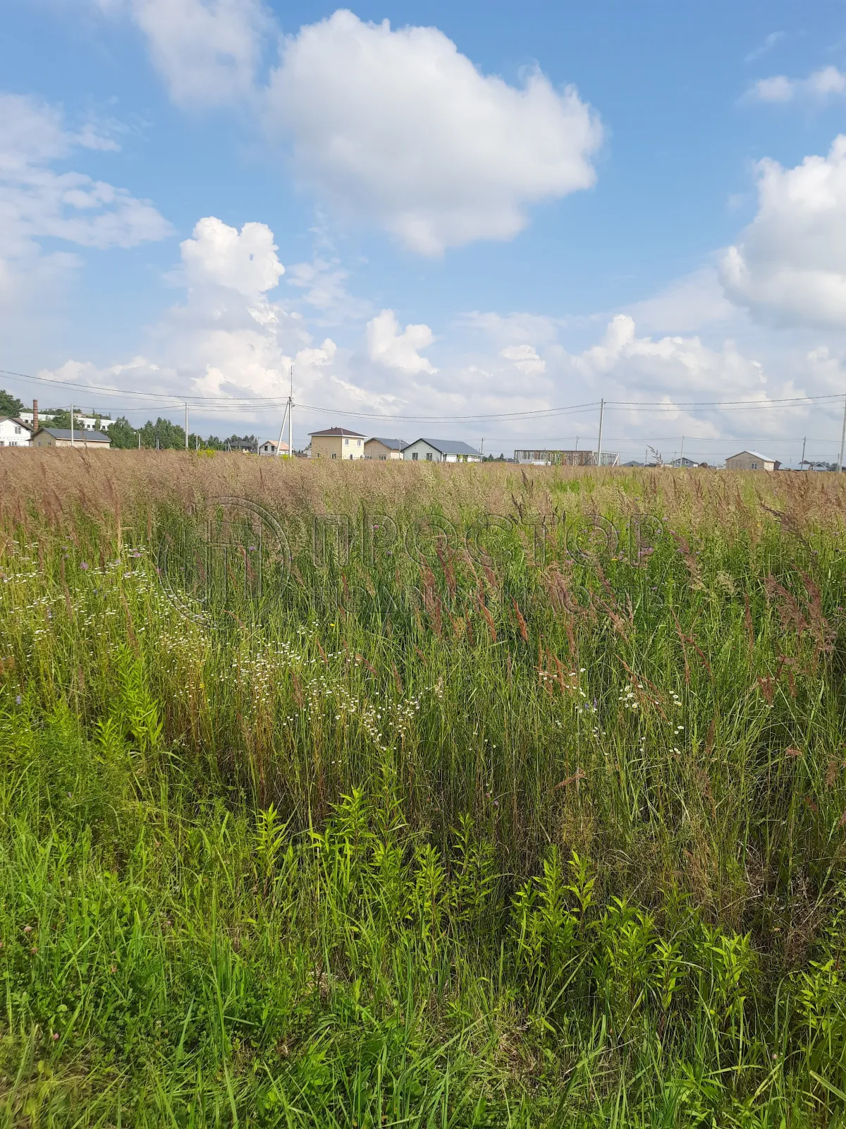 Коммерческая недвижимость (земельный участок),  м² - фото 5