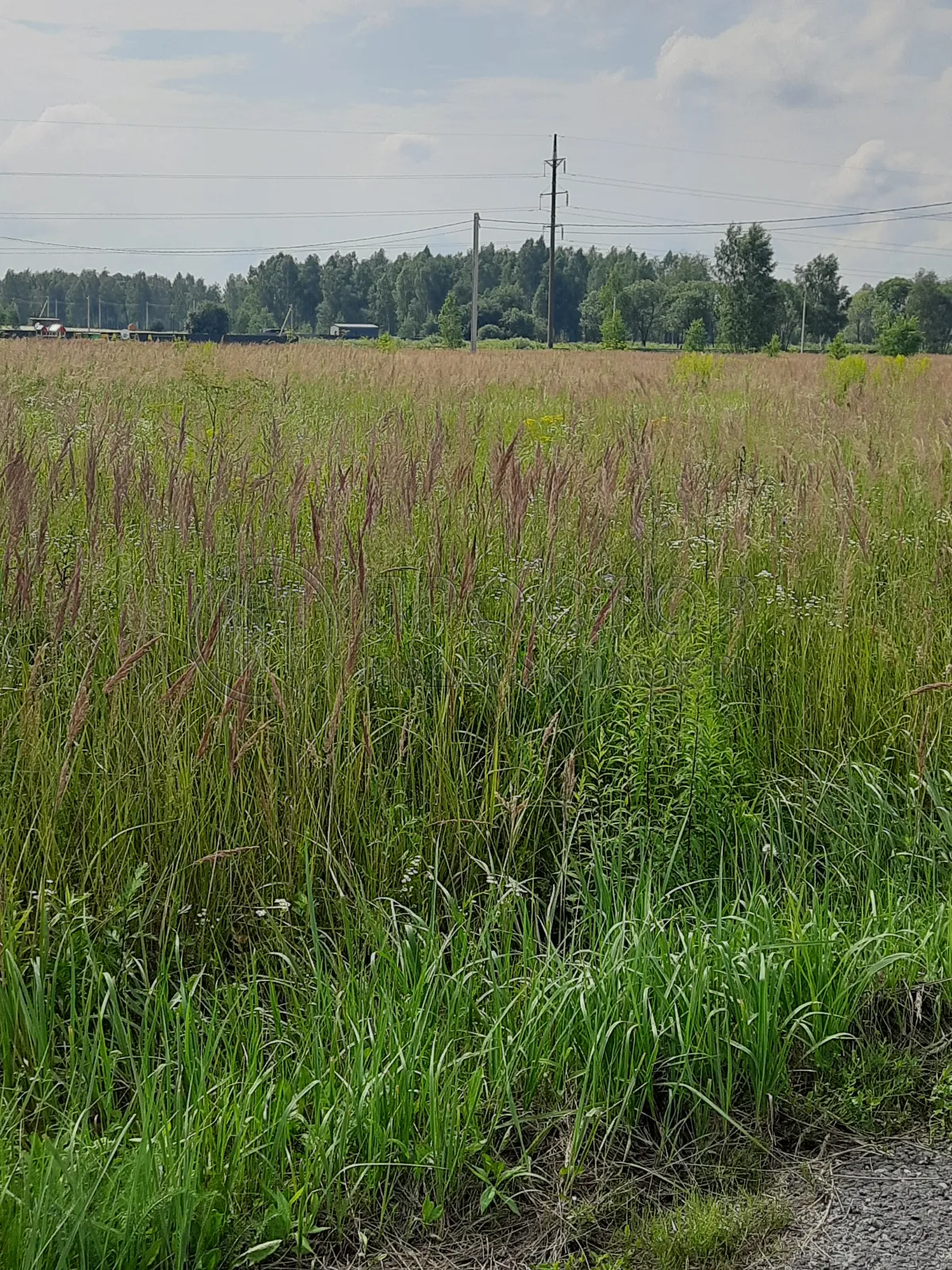 Коммерческая недвижимость (земельный участок),  м² - фото 7