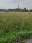 Коммерческая недвижимость (земельный участок),  м² - фото 17