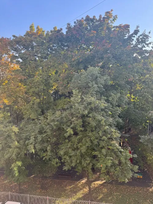 3-комнатная квартира, 82.7 м² - фото 19