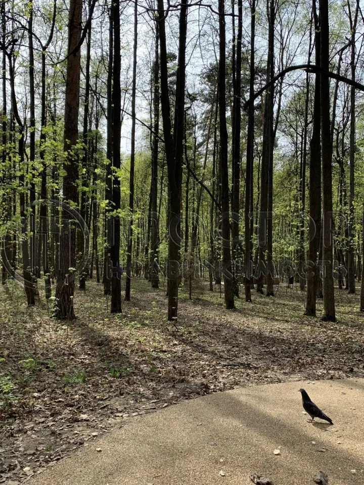 Студия, 30.7 м² - фото 8