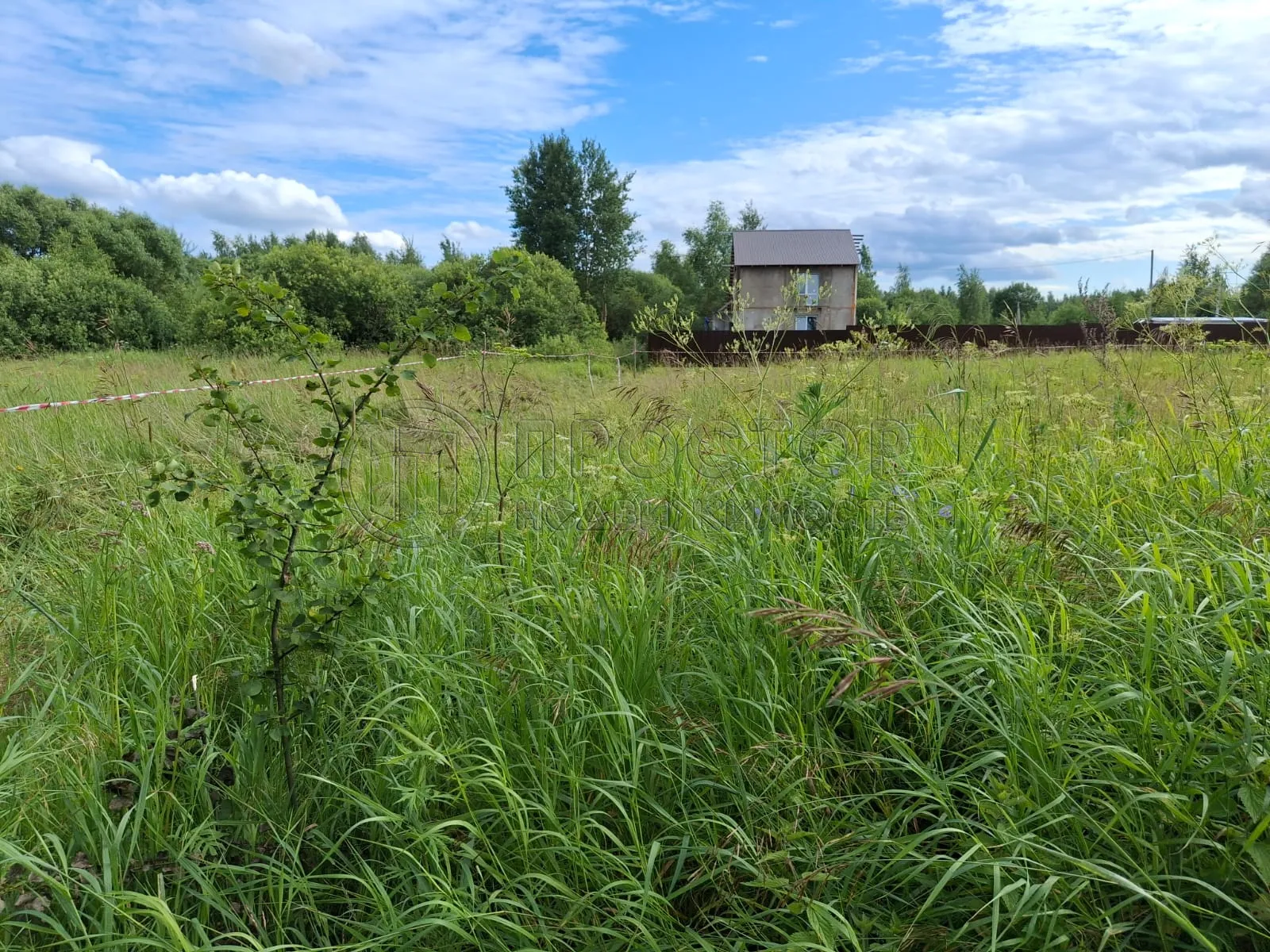 Участок, 15 сот. - фото 3