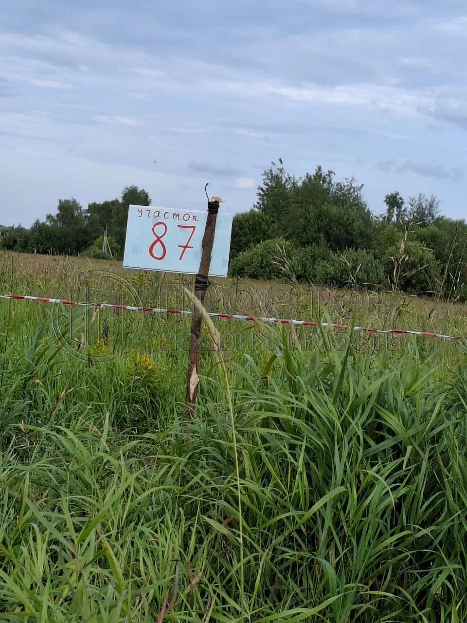 Участок, 15 сот. - фото 8