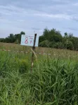 Участок, 15 сот. - фото 15