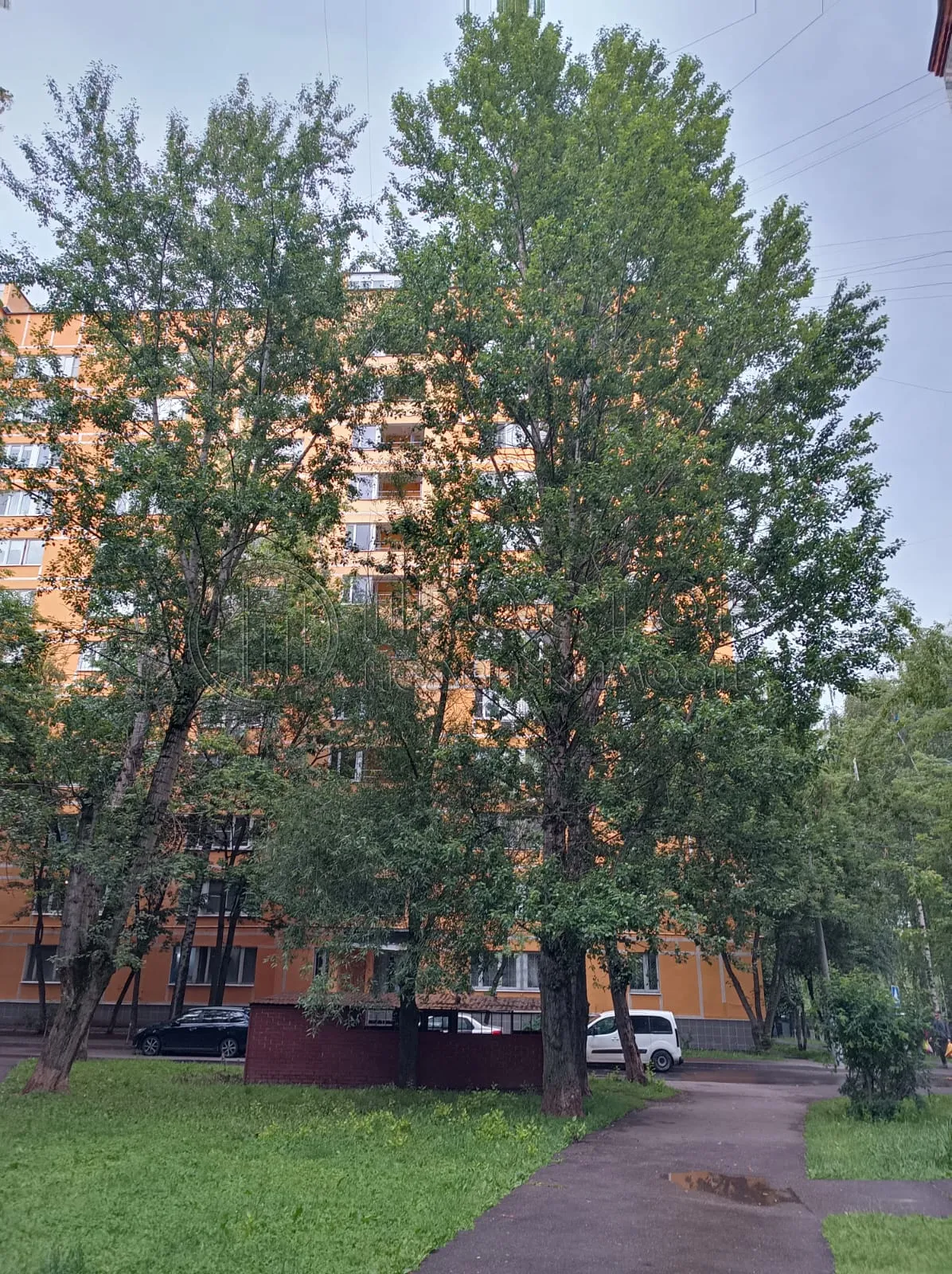 3-комнатная квартира, 59.8 м² - фото 2