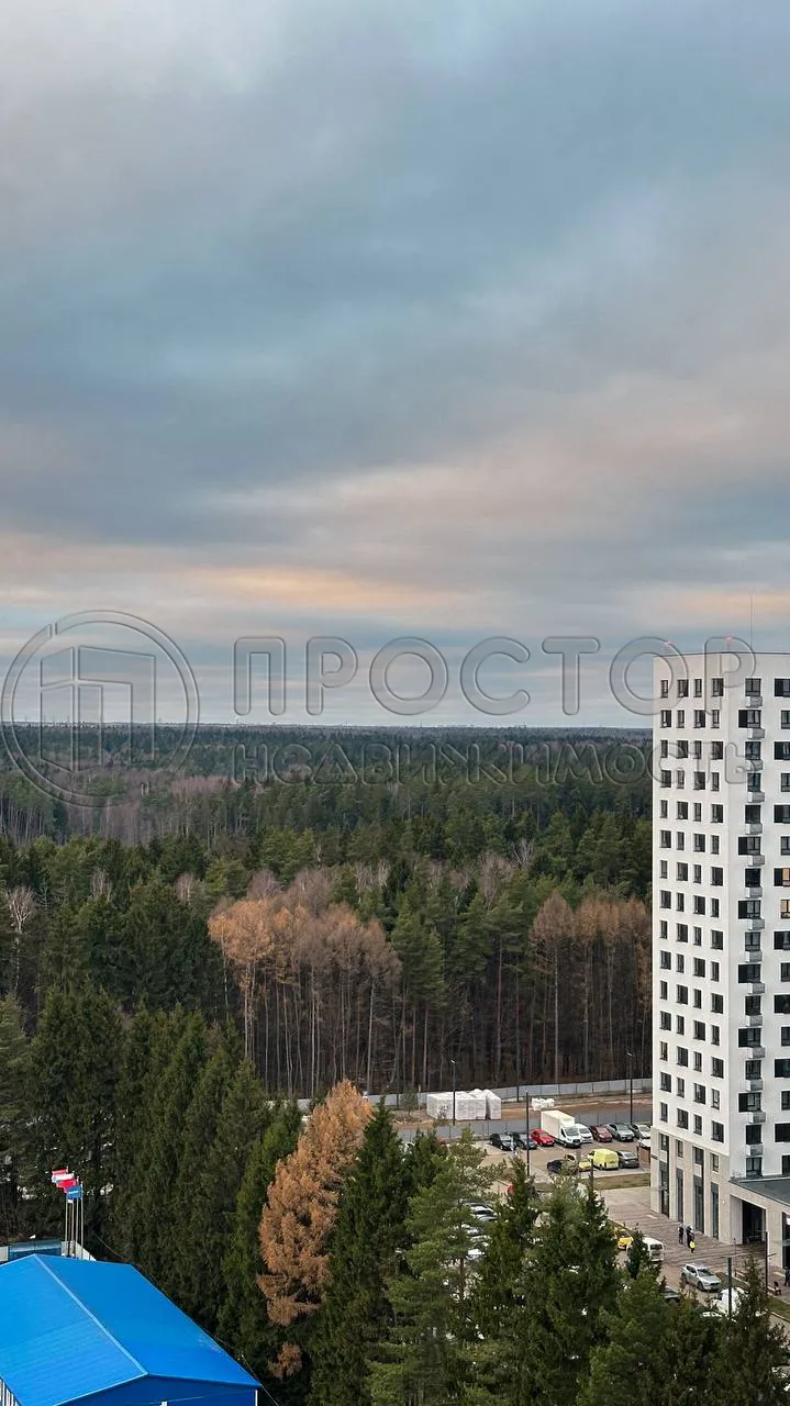 1-комнатная квартира, 31.8 м² - фото 6