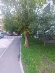 1-комнатная квартира, 35.6 м² - фото 14