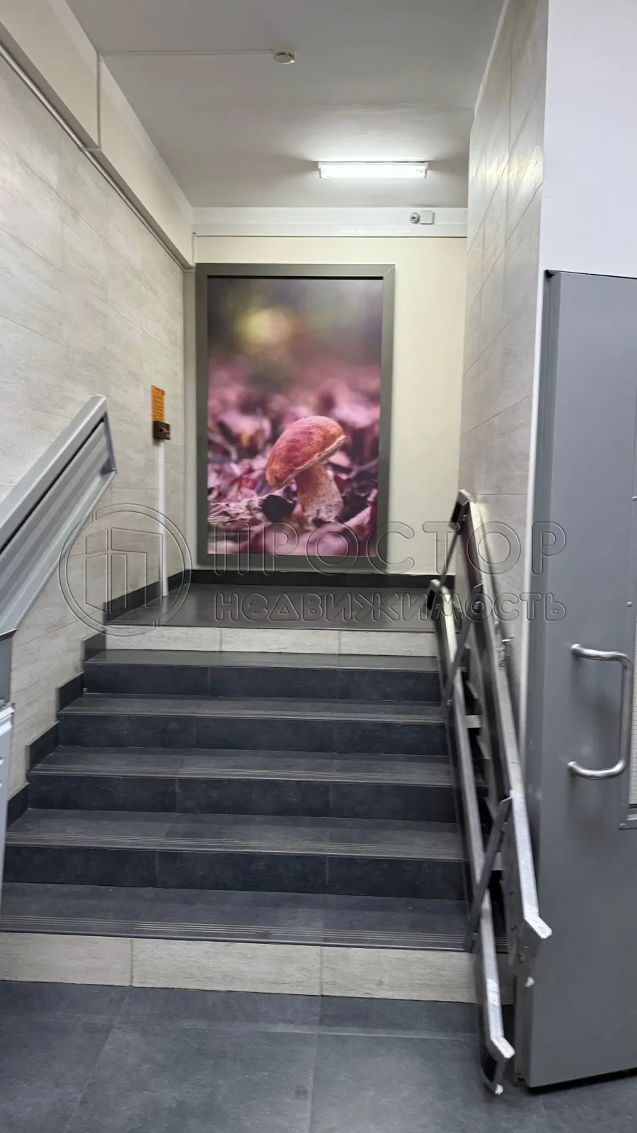 2-комнатная квартира, 56.5 м² - фото 14