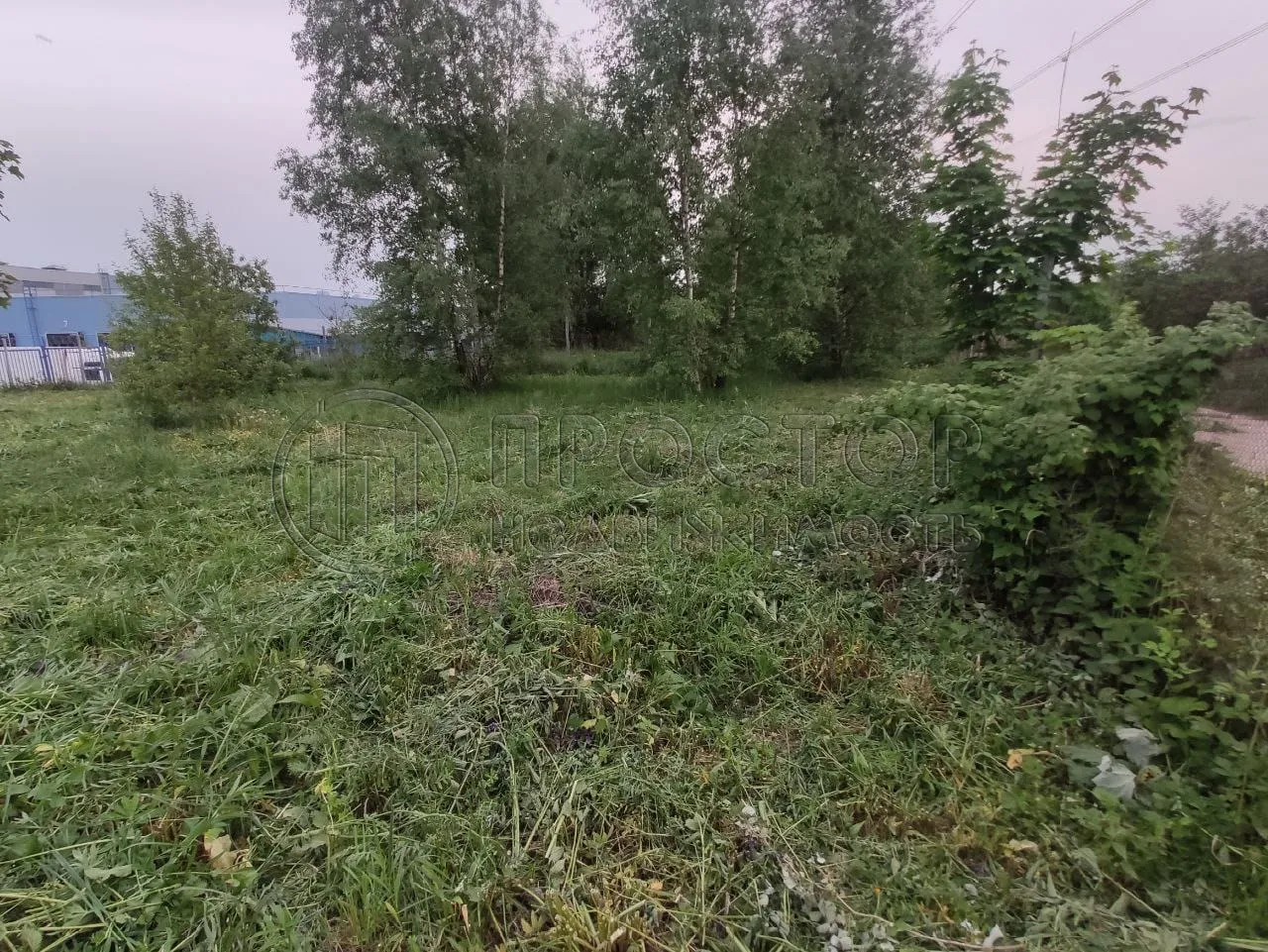 Участок, 9.5 сот. - фото 8