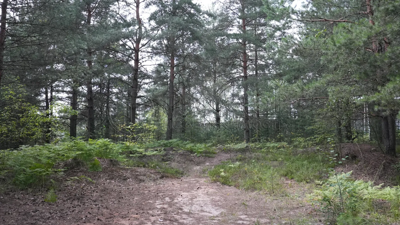 Коммерческая недвижимость (земельный участок),  м² - фото 12