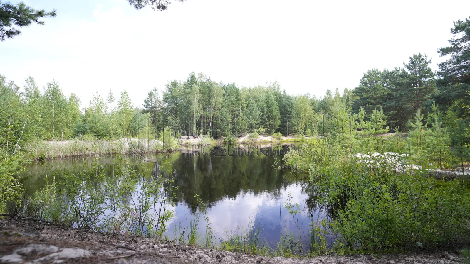 Коммерческая недвижимость (земельный участок),  м² - фото 9