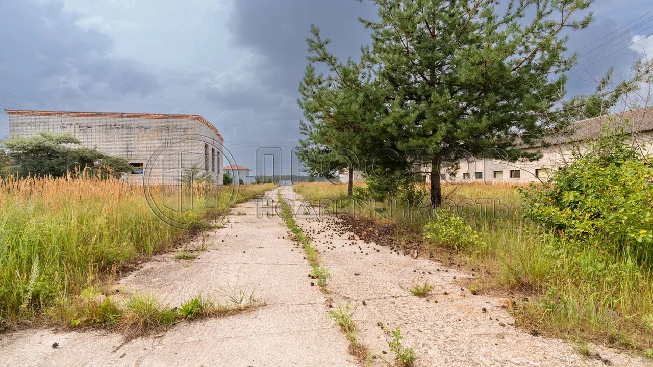 Коммерческая недвижимость (земельный участок),  м² - фото 4