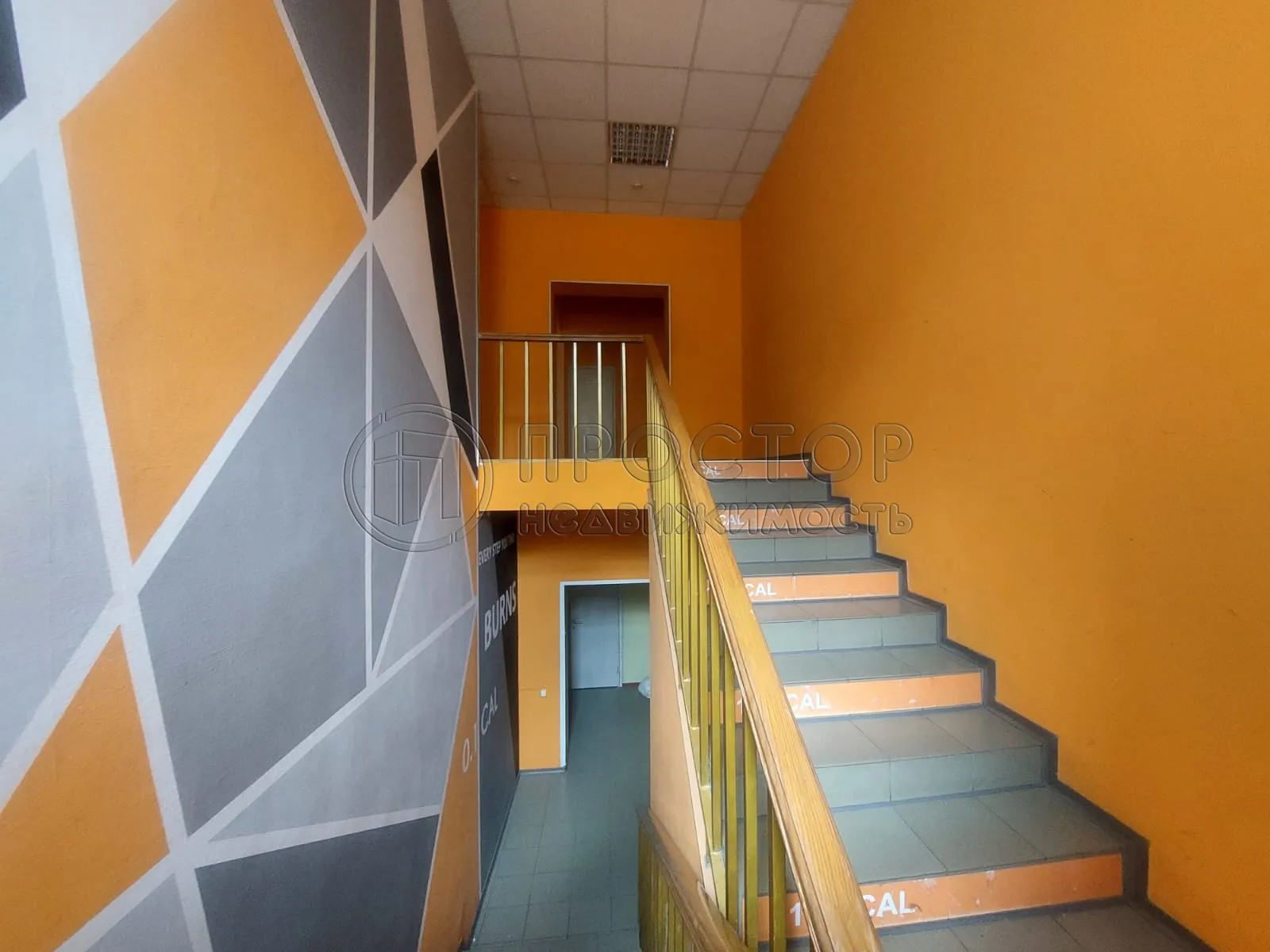 Коммерческая недвижимость (свободного назначения), 545 м² - фото 8