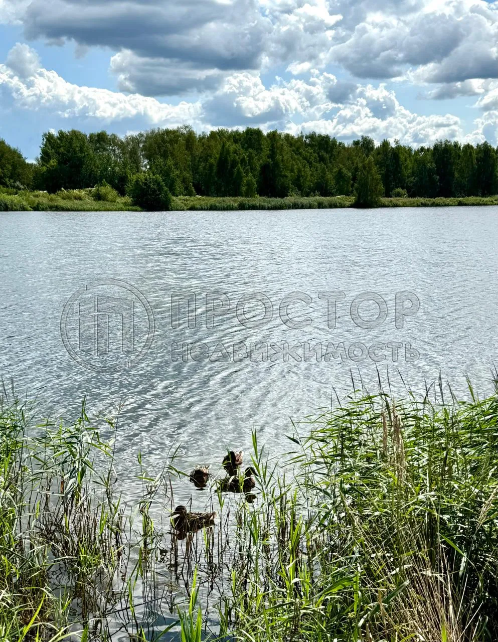 Участок, 10.36 сот. - фото 16