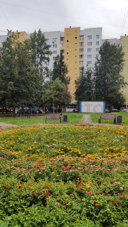 1-комнатная квартира, 39 м² - фото 2