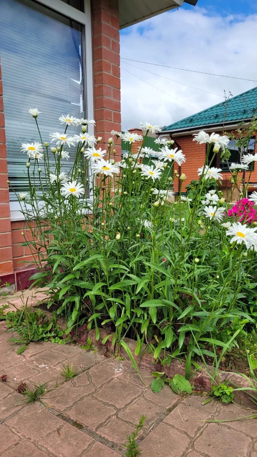 Дом, 331 м² - фото 13