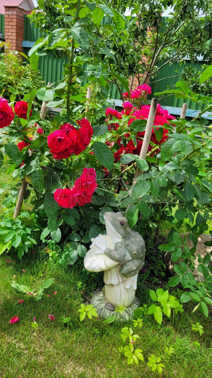 Дом, 331 м² - фото 34