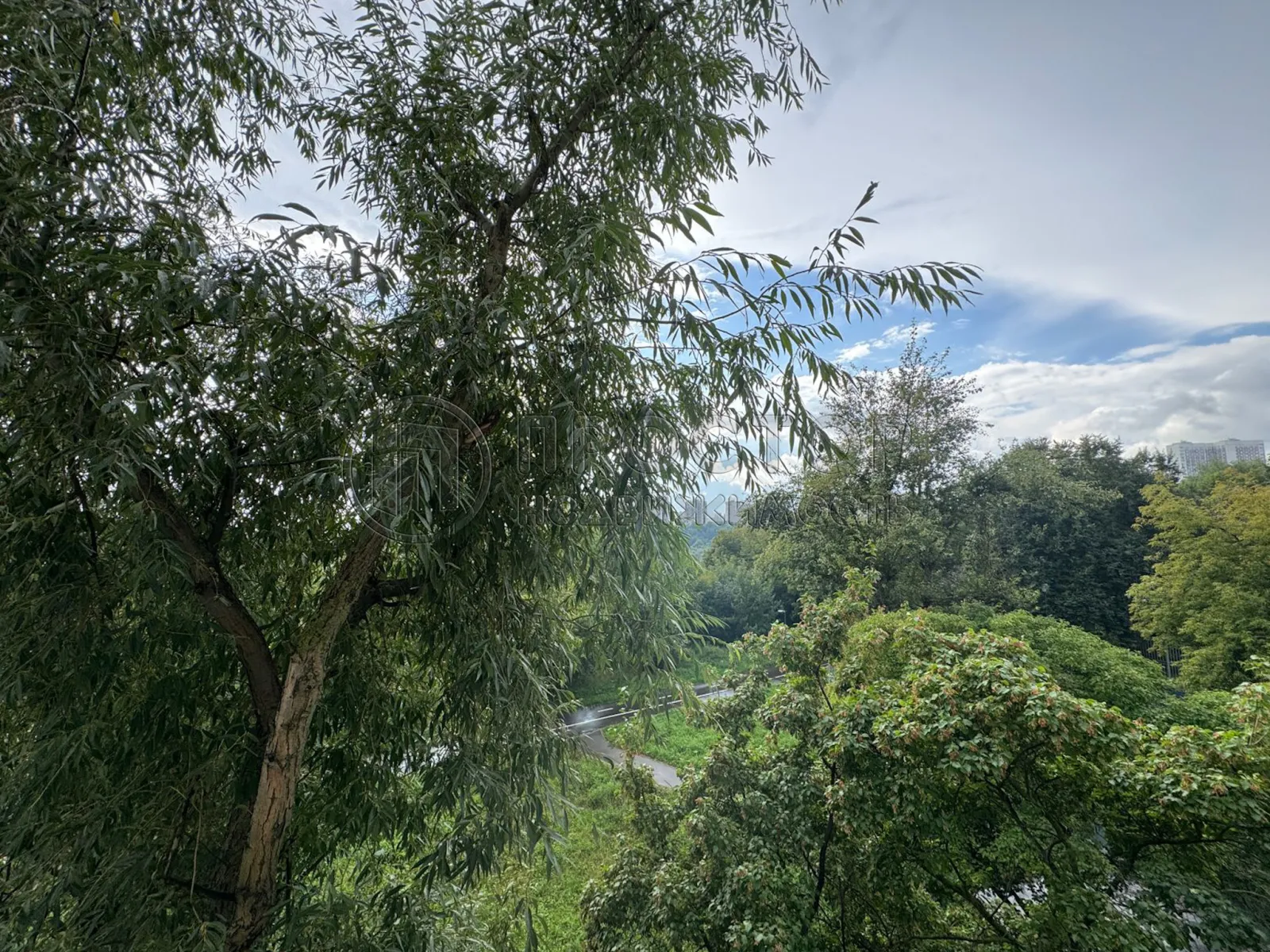 2-комнатная квартира, 50.3 м² - фото 19