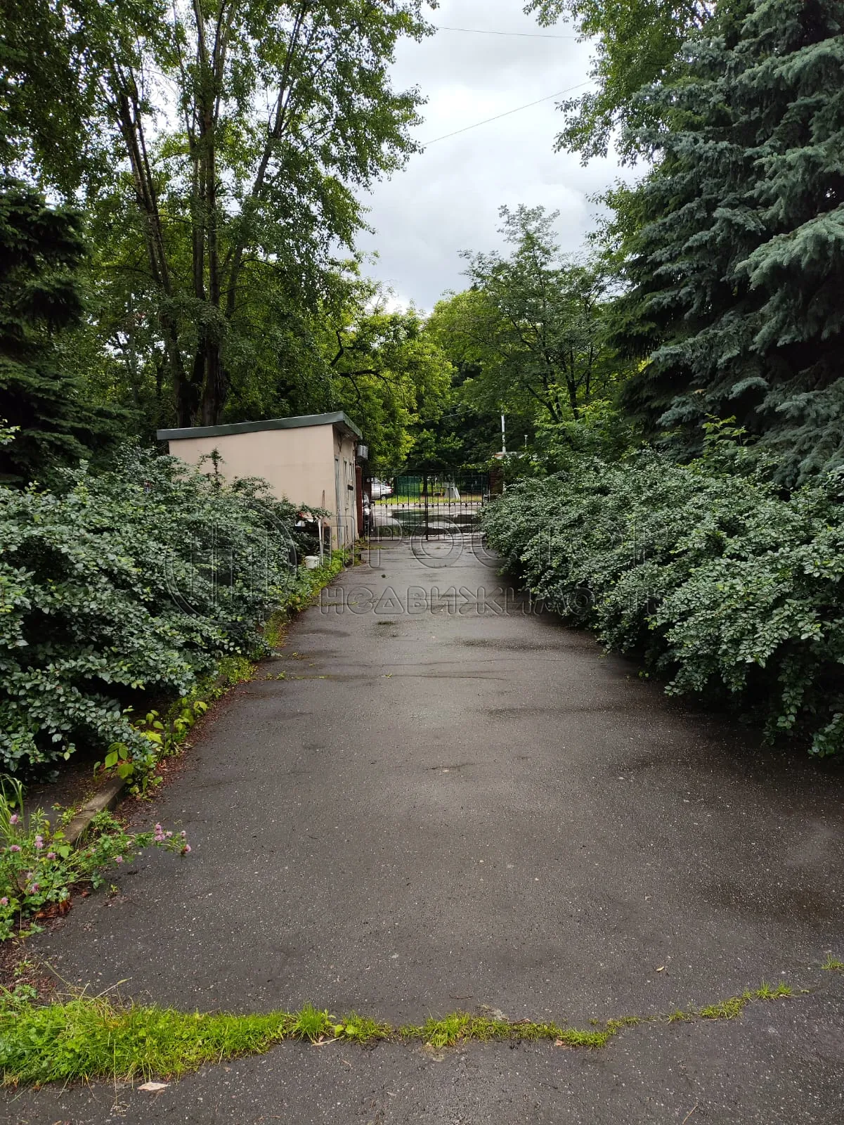 Коммерческая недвижимость (свободного назначения), 1069 м² - фото 6