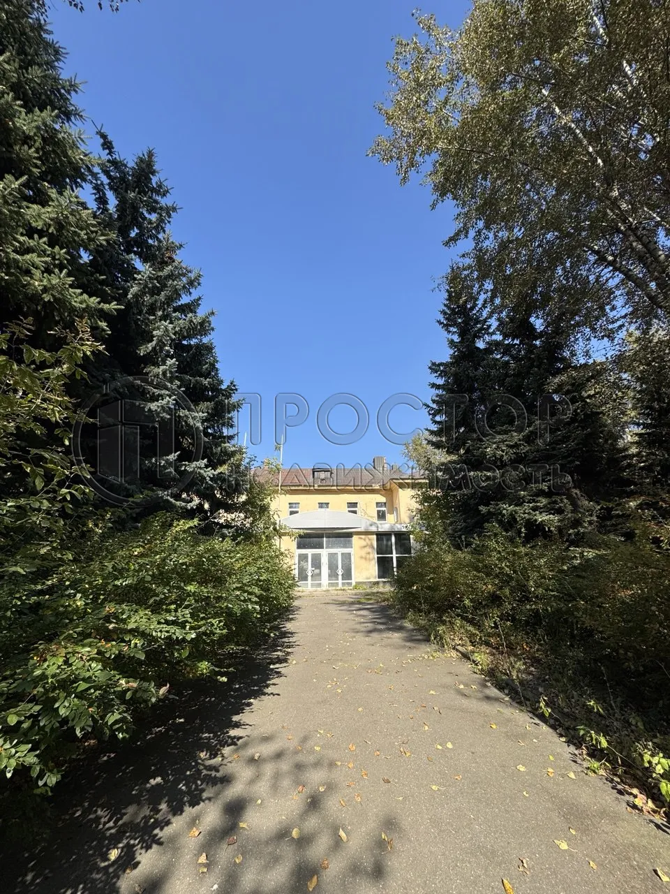 Коммерческая недвижимость (свободного назначения), 1069 м² - фото 5