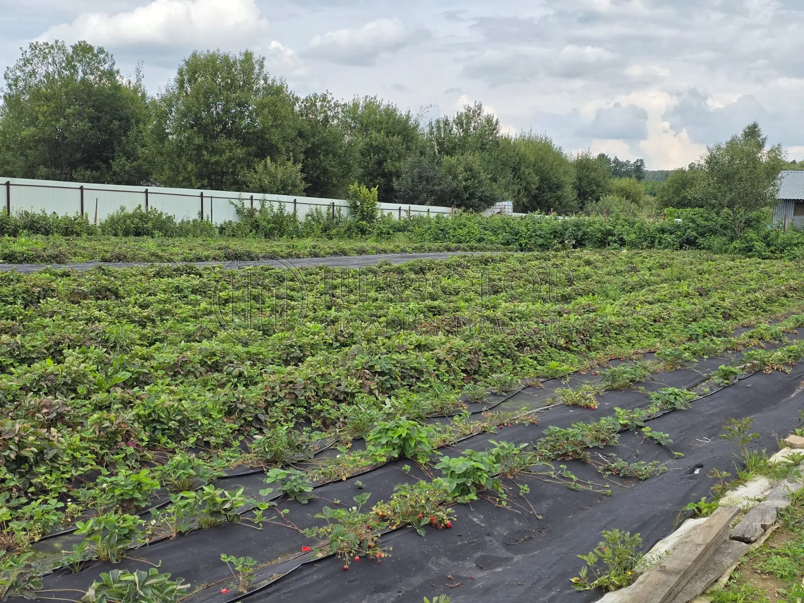 Дом, 80.8 м² - фото 3