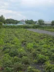 Дом, 80.8 м² - фото 17