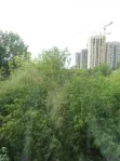 1-комнатная квартира, 31.4 м² - фото 31