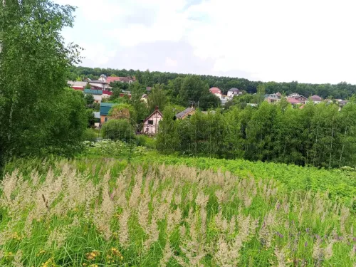Участок, 5.5 сот. - фото 2