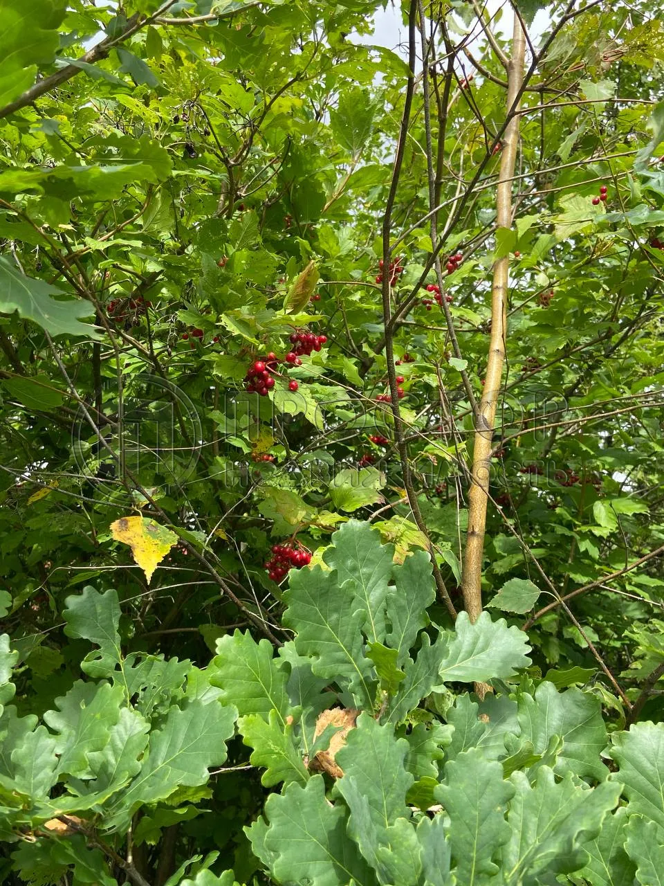 Дом, 150 м² - фото 25