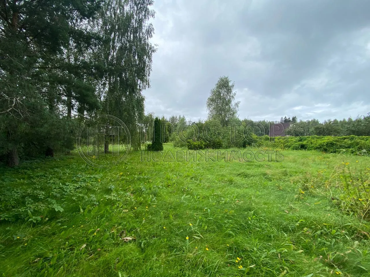 Участок, 10 сот. - фото 3