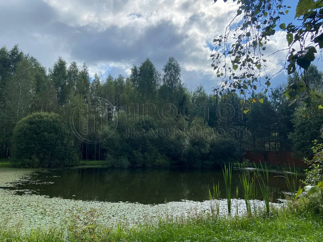 Участок, 10 сот. - фото 5