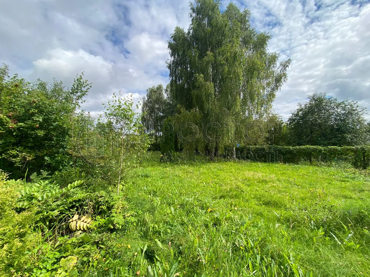 Участок, 10 сот. - фото 6