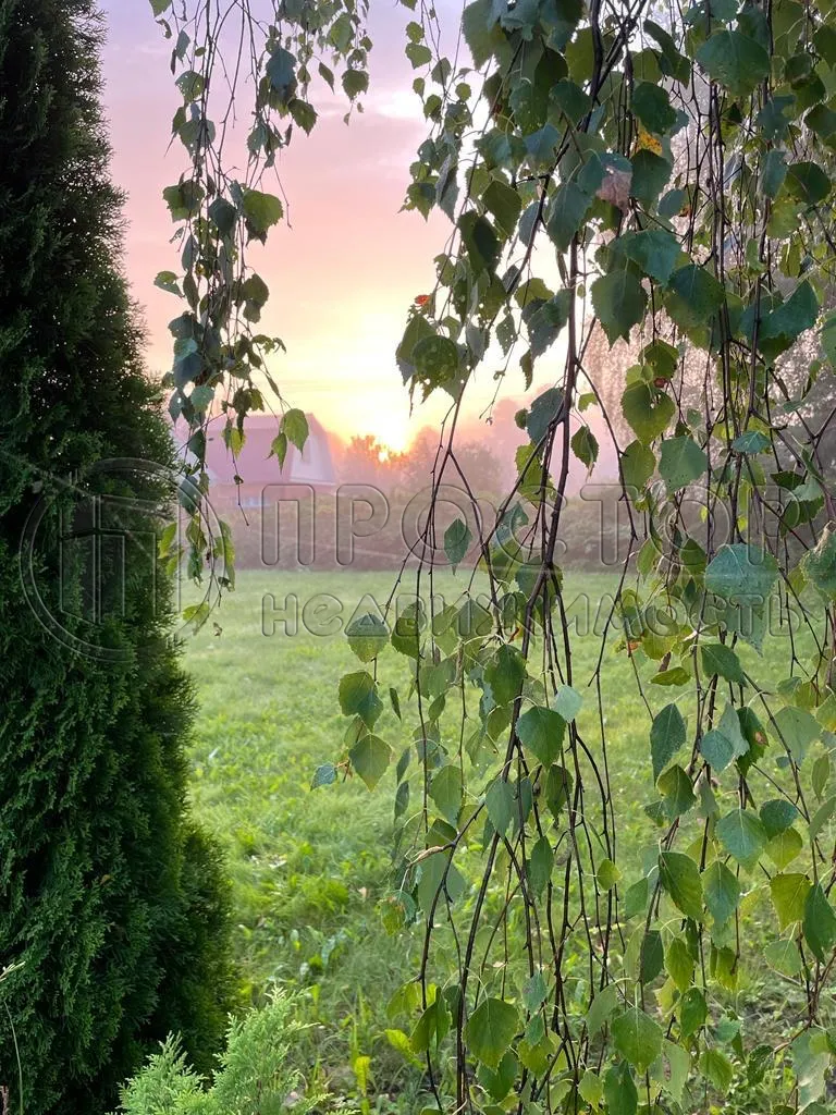 Участок, 10 сот. - фото 11