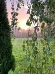 Участок, 10 сот. - фото 23