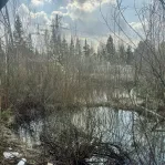 Участок, 8 сот. - фото 12