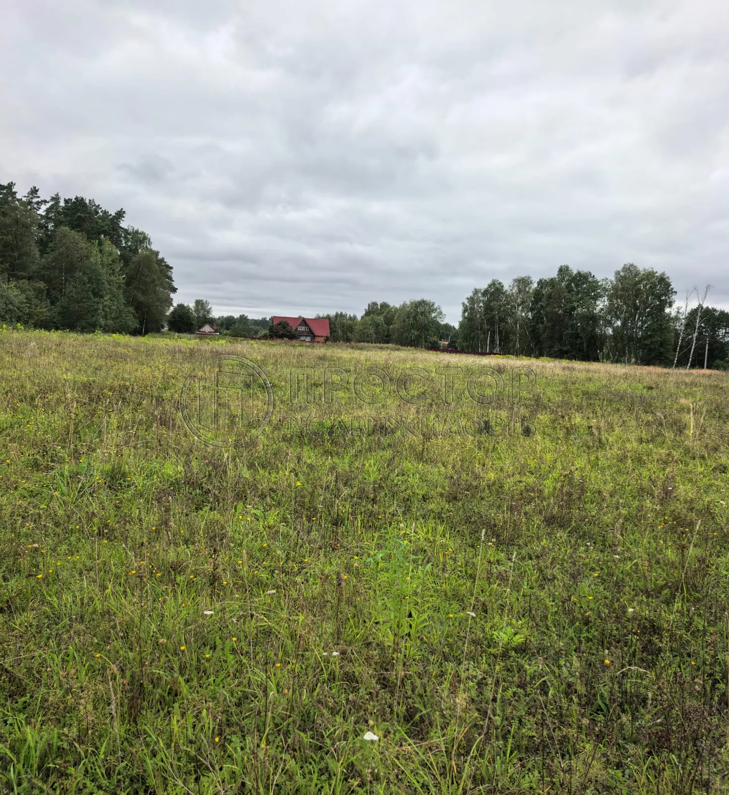 Коммерческая недвижимость (земельный участок),  м² - фото 2