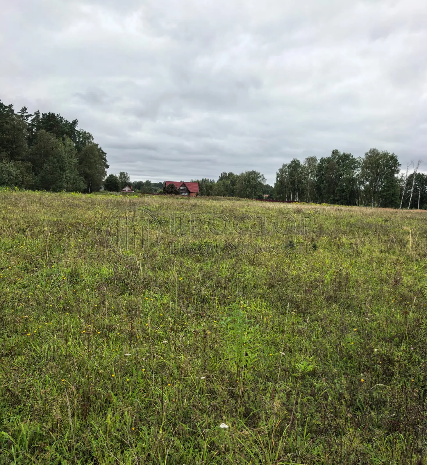 Коммерческая недвижимость (земельный участок),  м² - фото 3